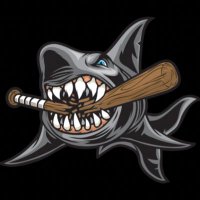 TriCityShark(@TriCityShark) 's Twitter Profile Photo