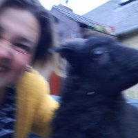 LynseyG (@lalapie) 's Twitter Profile