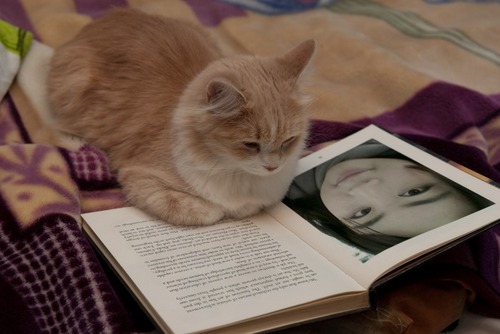 bb_techme's profile picture. 