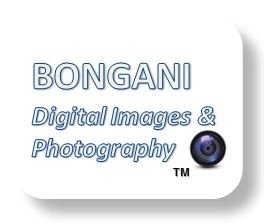 Twitter for BONGANI Digital Images & Photography. Fine Art, Outdoor, & Sports photography of Mike Jones...(Bongani means to be Thankful)...🇺🇸
