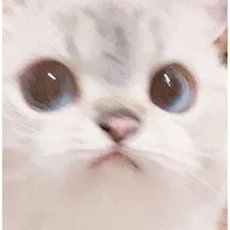 RiekRuz's profile picture. meow