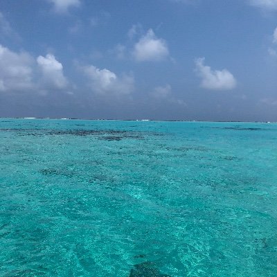 Maぽん On Twitter まこつの取扱説明書 私の性格を一言で表すと いつも前向きだけど取り繕いやすい菩薩の心 です 特性 心が広い 前向き 面倒見良い 私のトリセツ Https T Co Mm1a75l6ez