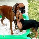 Ben Tilly - @benandtilly - Twitter