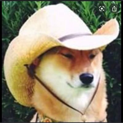 NateOlson2's profile picture. Someone who just wants to have fun😀