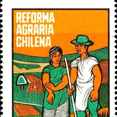 CampesinosC's profile picture. Los Campesinos Chile, estamos conformados por organizaciones Campesinas de carácter Nacional.