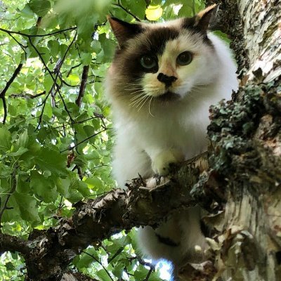 multivarka3's profile picture. 