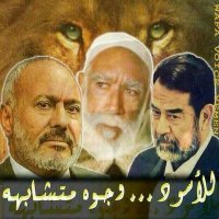 محمدالبحري (@alpahrie038) 's Twitter Profile