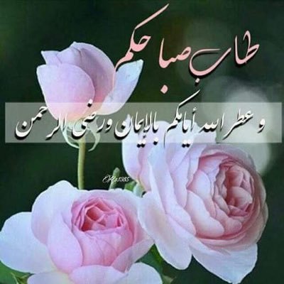 mOnK376gCBfyFRe's profile picture. احتاج اتعرف على ثلاثينيه من السعوديه🙂