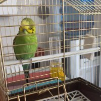 . (@grkan68117145) Twitter profile photo