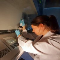 Alexandra Imre (@alexandra_imre_) 's Twitter Profile