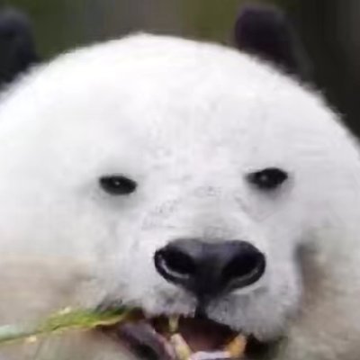 Gary00651234's profile picture. 世界和平