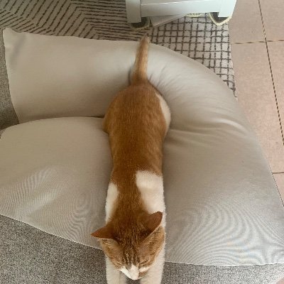 XF6CfbwqgJskp2I's profile picture. biubiubiu