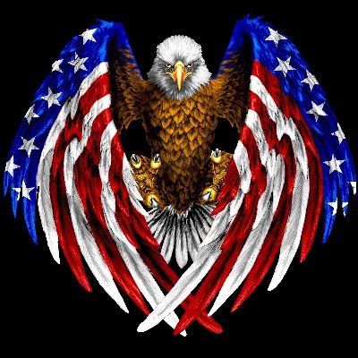 RadicalPatriot1's profile picture. 