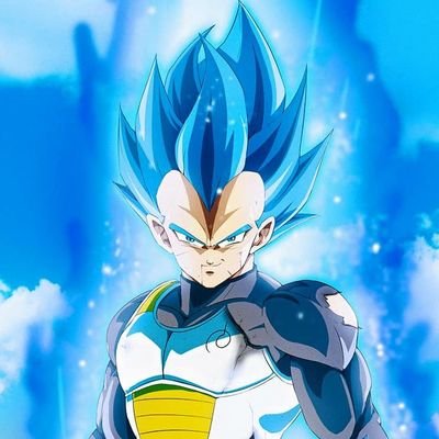I am the Prince of all Saiyans and I train every day to surpass that Clown, Kakarot. Training to ascend further.  (RP/Parody/MVRP)