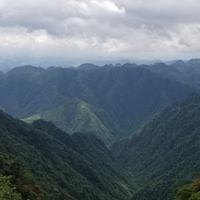 lee92145705's profile picture. ⏳@t2wrld❤️ Memecoin