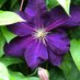 Lois Styck (@ls59901) Twitter profile photo Lois Styck (@ls59901) Twitter profile photo