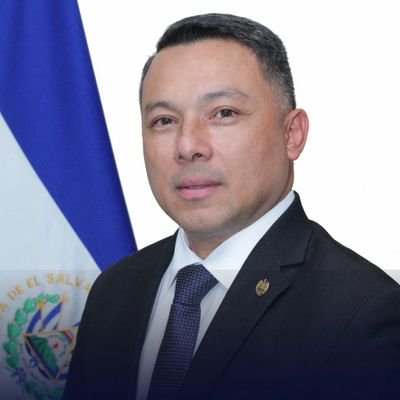 Embajador en Honduras Ex- Secretario General MRREE. Ex CGAF, Ex- Embajador en Perú, Consul General-Consul-(EEUU-AZ y Chiapas-MX),Ex Procurador Auxiliar. ABOGADO