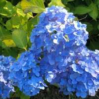 waka (@ikh_45_waka) 's Twitter Profile Photo