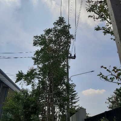 nleLO8K2tPNCP9P's profile picture. 