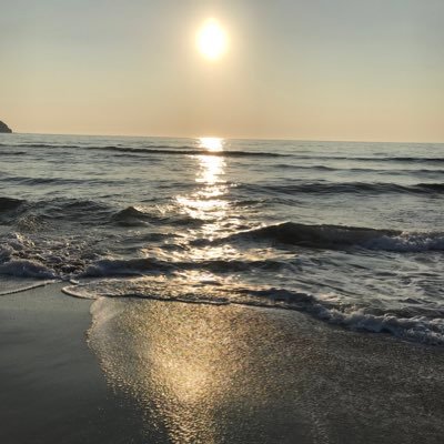 nizipa1's profile picture. 