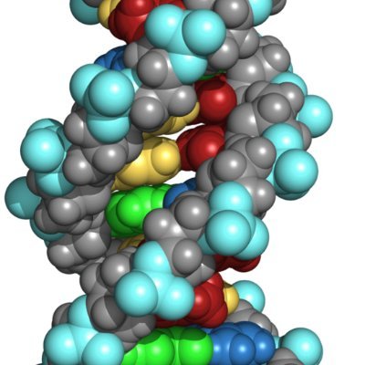 ResearchGenome Profile Picture