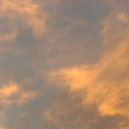 sheneedshelp6's profile picture. ⛓