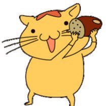 きみちゃん 攻めと守りの投資 Kimi Hamuts Twitter きみちゃん 攻めと守りの投資 Kimi Hamuts Twitter