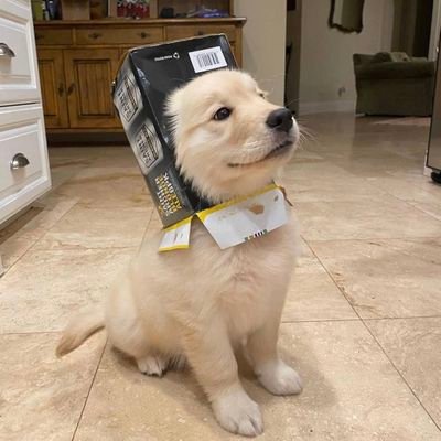 Peacher51938238's profile picture. การชนที่ดีที่สุดคือการชนแก้ว 🍹