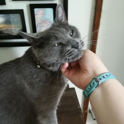 logosgal's profile picture. Likes: Friends, Cats, Nieces & Nephews, Language, Writing, Jesus.

Dislikes: Making a Twitter bio.