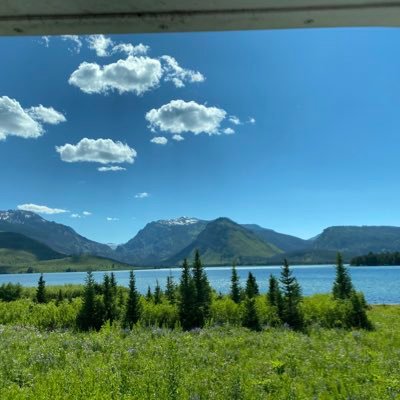 travellarna's profile picture. 