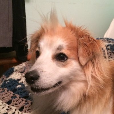 ericjdommer's profile picture. 