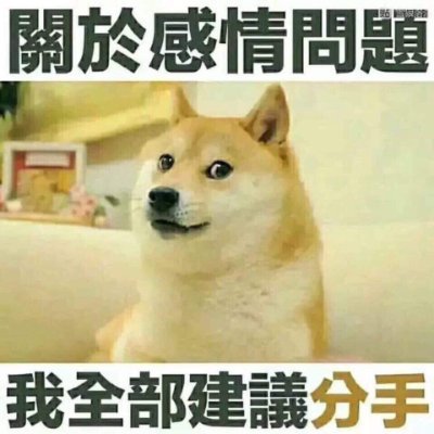 KK1212tw's profile picture. 