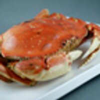 The Fish Store (@flotngfishstore) 's Twitter Profile