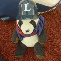 うっ🌈⚾🦁🪼 (@ucchiyjfb) 's Twitter Profile