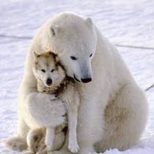 husky73689586's profile picture. モフモフとガーデニングが癒しの支援員