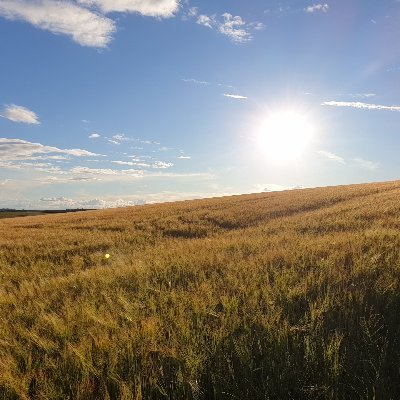 GriselRaphael's profile picture. 