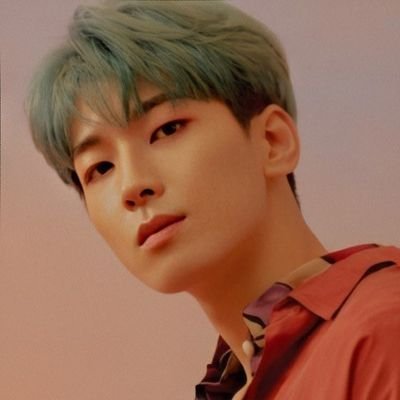 lovwonugyu's profile picture. fan account @pledis_17