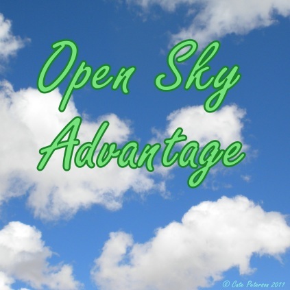 Interested in a mobile website? Want to use texting to grow your business? Want your website on the first page of Google? Contact Questions@OpenSkyAdvantage.com