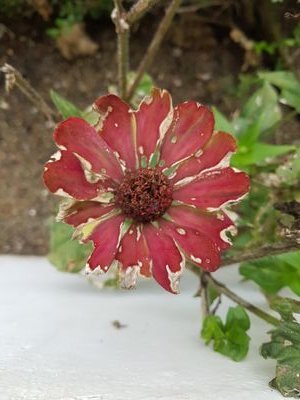 음쓰
