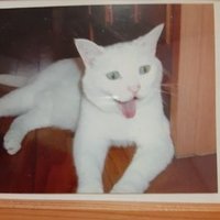 つこ (@wpz8sx9g2ujai5l) Twitter profile photo