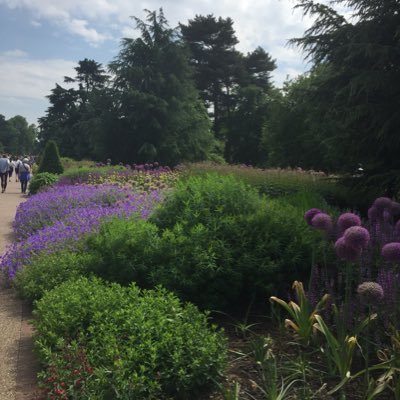 Halstea53557095's profile picture. 