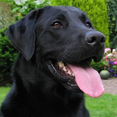 SparkysEU's profile picture. Competitive Player
Content Creator
Fortnite Player
Youtube Channel : SparkysEU