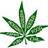 The Hemp Doctor (@hempdoctor) Twitter profile photo
