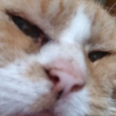 dopam1ne_'s profile picture. https://t.co/vtPhDohO95
he/him btw
Slava Ukraini!
#sesh