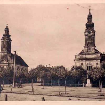 shlb70183436's profile picture. 