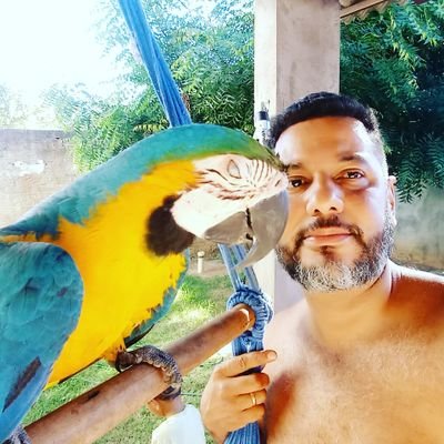 Darison65627055's profile picture. Que as minhas obras sejam aquelas que o amor me delegou.