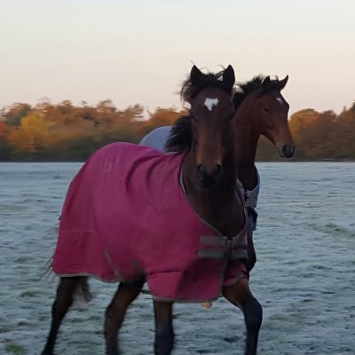 ArlhacD's profile picture. Française et fière de l'être, anti-gauchiste et contre toutes violences verbales
"On gagne sa vie par ce que l'on fait
On fait sa vie par ce que l'on donne"