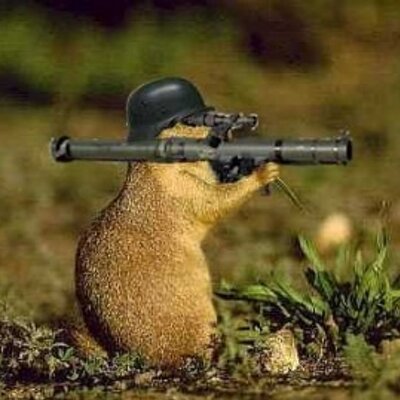 Profile Picture of Scott May (@Remillard_ca) on Twitter
