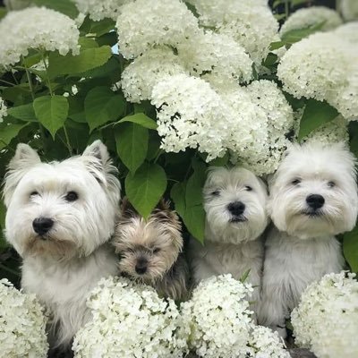 ReubenPatterso7's profile picture. God is good