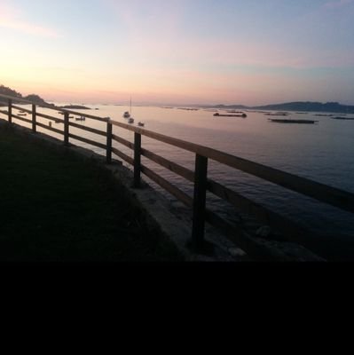 iagoGarrid0's profile picture. 